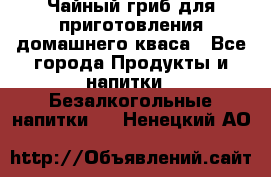 Чайный гриб для приготовления домашнего кваса - Все города Продукты и напитки » Безалкогольные напитки   . Ненецкий АО